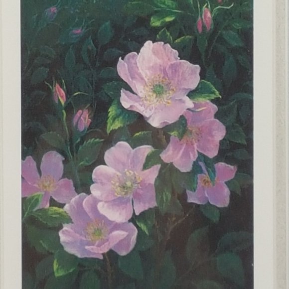Framed Art Prints Alberta Wild Rose IV and Alberta Wild Rose VI by Elsie Baer - Picture 14 of 16